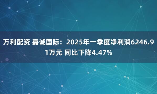 万利配资 嘉诚国际：2025年一季度净利润6246.91万元 同比下降4.47%