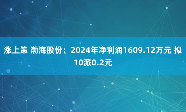 涨上策 渤海股份：2024年净利润1609.12万元 拟10派0.2元