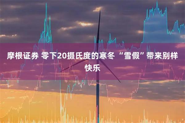 摩根证券 零下20摄氏度的寒冬 “雪假”带来别样快乐